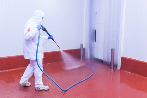Palatine, IL Pressure Washing Services Company