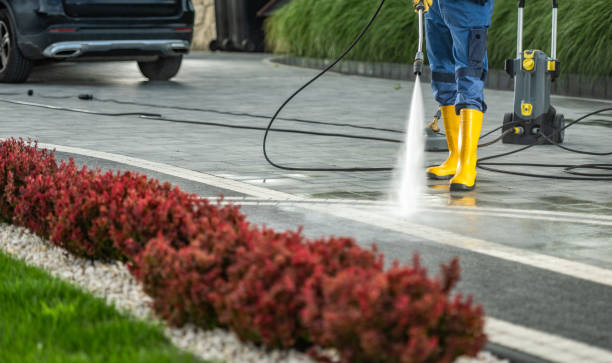 Best Window and Screen Pressure Cleaning in Palatine, IL